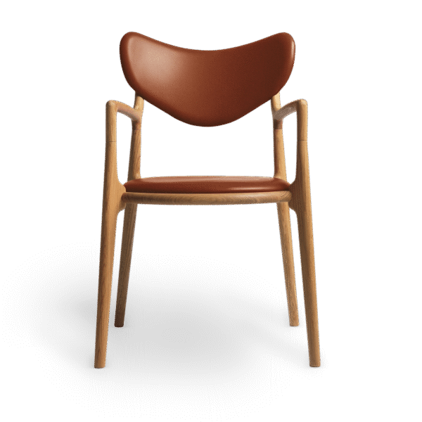 Salon Chair